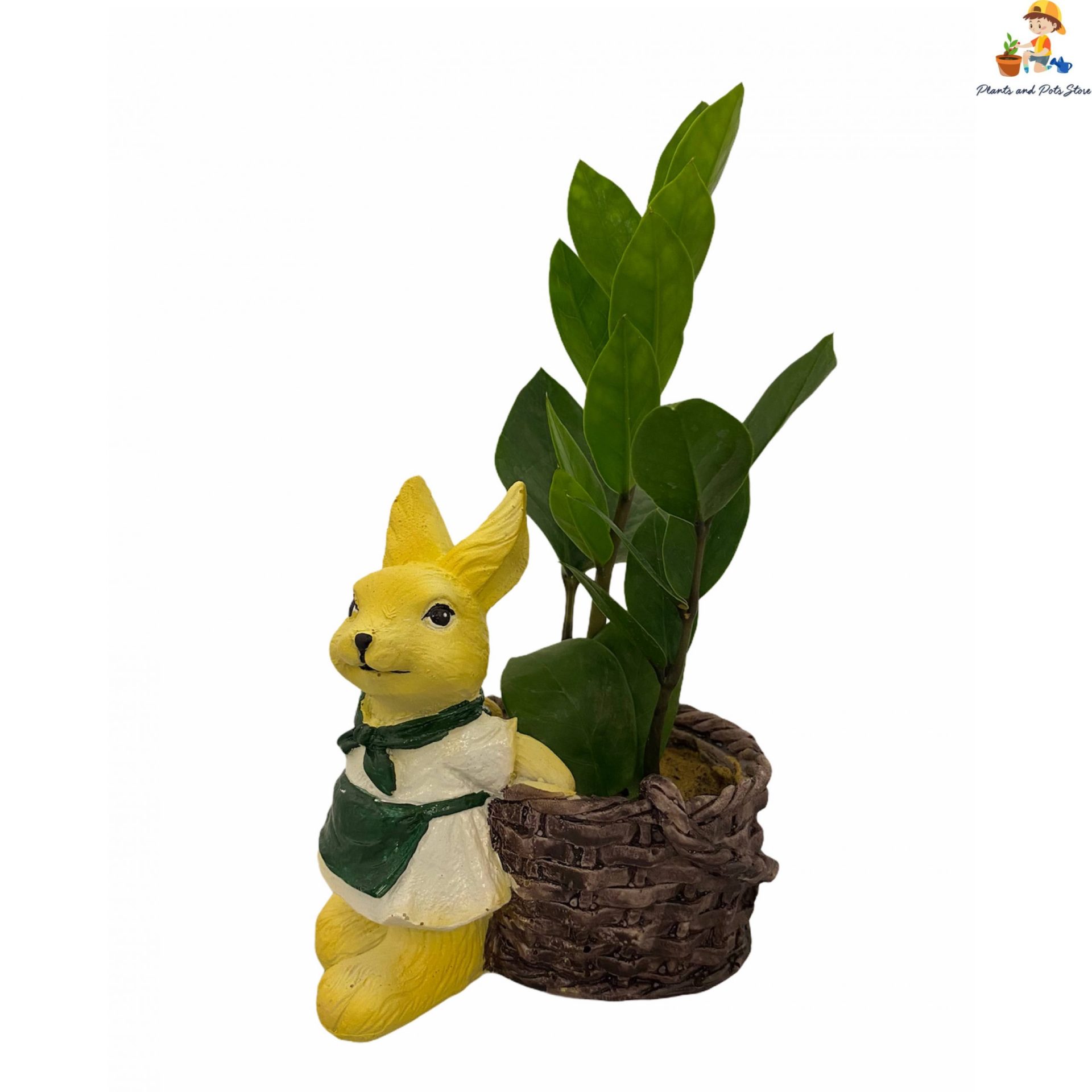 rabbit in resin pot with zamia